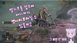 (소리주의) 멀기트를 잡으며 어디까지 센시티브 해질 수 있을까? [홀로라이브 / 네코마타 오카유]