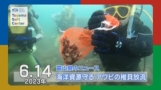 滑川で高校生がアワビを放流【2023.6.14 富山県のニュース】