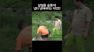 말벌을 술통에 냅다 넣어버리는 자연인 #Shorts