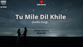 Tu Mile Dil Khile(Audio Song) , Akkineni Nagarjuna , Anoop Sankar , Ramu Raj || MHS Music