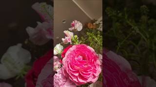 【DECORATE】生活に彩りを｜お花のある生活｜今飾ってるお花を紹介｜#shorts #暮らしのvlog #花のある生活 #花が好き #生花 #日常vlog #花のある暮らし #花の写真