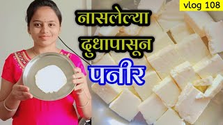 नासलेल्या दुधाचे पनीर 😍 | या टिप्स वापरून बनवा डेअरी सारखे पनीर 🥰 | How to make Paneer at Home