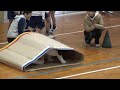 よんこリンピック caterpillar race ：20131208