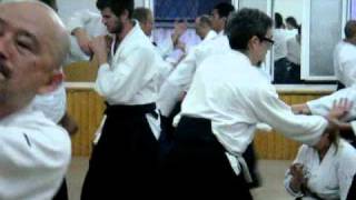 aikido Yamada Shihan, Arashi Group.