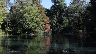 #MondayMeditation: Autumn in the Pool