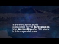 A Matter of Fact: Tardigrades | SciTech Now