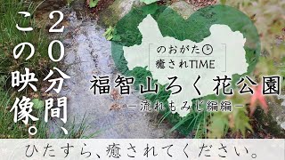 福智山ろく花公園（流れもみじ編）20分【のおがた癒されTIME】