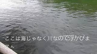 藻南公園・札幌市南区