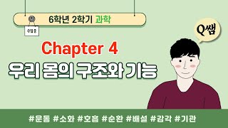 [단원정리] 6학년 2학기 과학 4단원. 우리 몸의 구조와 기능 - [진격의 Q쌤] / 2020년