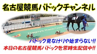 名古屋競馬パドックチャンネル