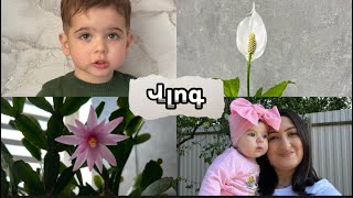 Պատրաստվում ենք գնանք հյուր ❤️(վլոգ 1) ❤️ #վլոգ #vlog