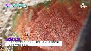 연골 세포 생존율을 높인다?! 관절 통증\u0026염증 완화에 도움 주는 하얀 가루의 정체! l 닥터 지바고 249회