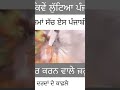 ਆਪਣਿਆਂ ਨੂੰ ਮਾਰ ਰਹੇ ਖੁਦ ਆਪਣੇ… ਪੰਜਾਬ ਪੰਜਾਬੀ