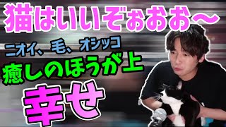 【うどん＆さぬき】猫の良さを語る金城敬樹【Gero/切り抜き/2021/04/30】