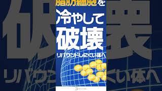 【冷やして脂肪破壊】最新医療ダイエットでリバウンドしにくい体へ！【BSクリニック】