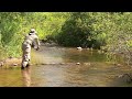 fly fishing the west branch battenkill river in vermont