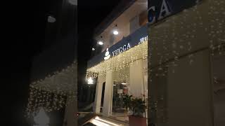 Yucca specialty coffee in Sabya jazan_saudia Arabia#shortvideo #videoviral #duet #1000subscribe