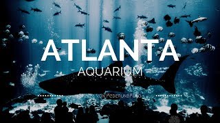 USA: ATLANTA und das spektakuläre Aquarium