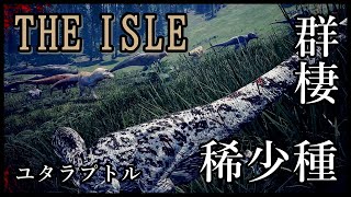 稀少種と群れとユタラプトル【The Isle】