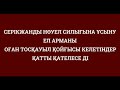 СЕРІКЖАНДЫ НОБЕЛЬ СИЛЫҒЫНА ҰСЫНУ ЕЛ АРМАНЫ. ОҒАН ТОСҚАУЫЛ ҚОЙҒЫСЫ КЕЛЕТІНДЕР ҚАТТЫ ҚАТЕЛЕСЕДІ