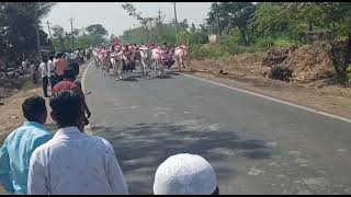 ಕೆರೂರು ಅರಣ್ಯ ಸಿದ್ದೇಶ್ವರ ಜಾತ್ರೆಯ ಜೋಡೆತ್ತಿನ ಸರ್ತಿ