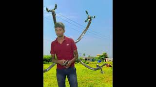 doctor octopus hand in real life