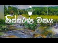 Nissarana Wanaya | නිස්සරණ වනය