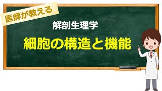 (13分17秒のところだけでもいいから観てほしい) 細胞の構造と機能をわかりやすく解説【 医療系学生向け】