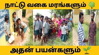 நாட்டு வகை மரங்களும் அதன் பயன்களும் | Trending Sivagangai