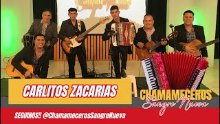 Carlitos Zacarias Chamameceros Sangre Nueva 04 05 24