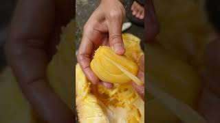 The Jack Fruit #food #fruit #jackfruit #shorts