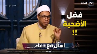 الشيخ محمد أبو بكر يكشف فضل الأضحية وسر دعوة مستجابة لا ترد ؟!