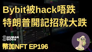 [幣加NFT EP196]  Bybit被hack唔跌| 特朗普記招就大跌| BTC 入貨位支撐位分析 #心心仔 #BTC #Bitcoin #Crypto #廣東話 #加密貨幣 #粵語