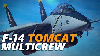 F-14B Tomcat Multicrew Vs JF-17 Thunder Dogfight | Digital Combat Simulator | DCS |