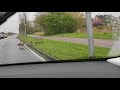 overstekende ganzen familie op autoweg in julianadorp lange vliet 🦆