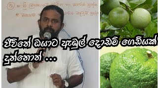 ජීවිතේ ඔයාට ඇඹුල් දොඩම් ගෙඩියක් දුන්නොත්...