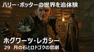 ハリー・ポッターの世界を追体験「29 月の石とロドゴクの悲劇」【ホグワーツ・レガシー】