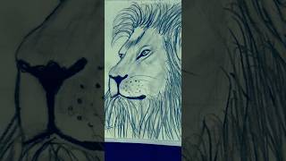 🦁🦁LION DRAWING REALISTIC#art #viral #shortsfeed #shorts #lion