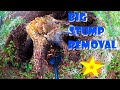 Removing BIG STUMPS by Hand - how to