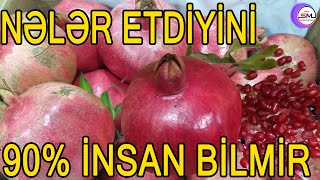 Bu meyvənin  insana nələr etdiyini 90% insan bilmir