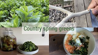 향도 좋고, 맛도좋은 부지깽이 나물/Spring greens that smell good and taste good!