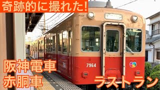 #54  阪神電鉄・武庫川線 赤胴車ラストラン