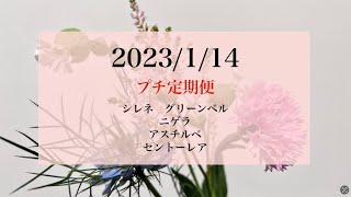 2023年1月14日（土）発送のプチ定期便