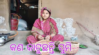 କଣ କାଟୁଛନ୍ତି ସୁମି ଦେଖନ୍ତୁ | SUMI VLOGS