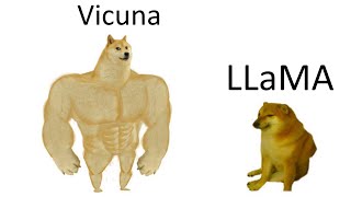 Vicuna - LLaMA's big brother (TRAINED WITH GPT4)