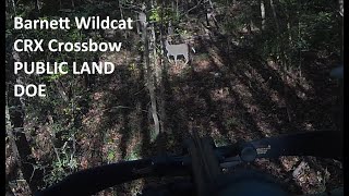 Barnett Wildcat CRX crossbow PUBLIC LAND DOE