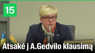 I.Šimonytė: „Paskutinė Vyriausybės valanda, kai jūs galite užduoti man glitų klausimą“