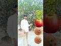 Fruit VFX video magic VFX video #funny #vfx #shortvideo