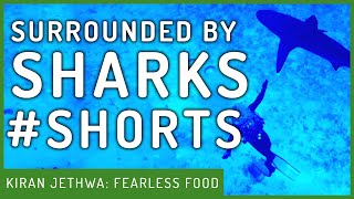 Diving With Sharks | Fearless Food | Kiran Jethwa #Shorts