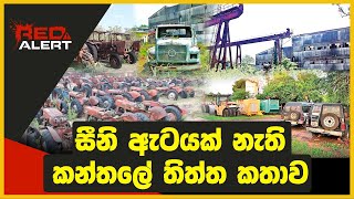 සීනි ඇටයක් නැති කන්තලේ තිත්ත කතාව | RED ALERT | The Leader TV